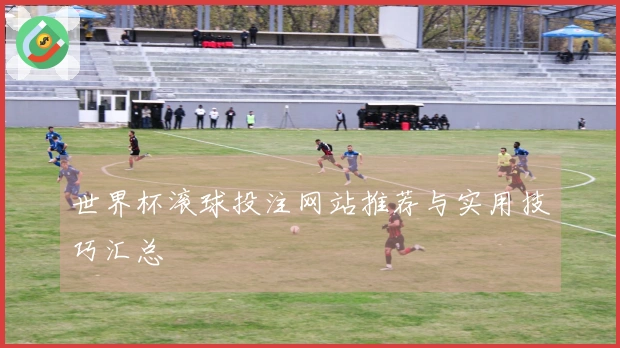 世界杯滚球投注网站推荐与实用技巧汇总