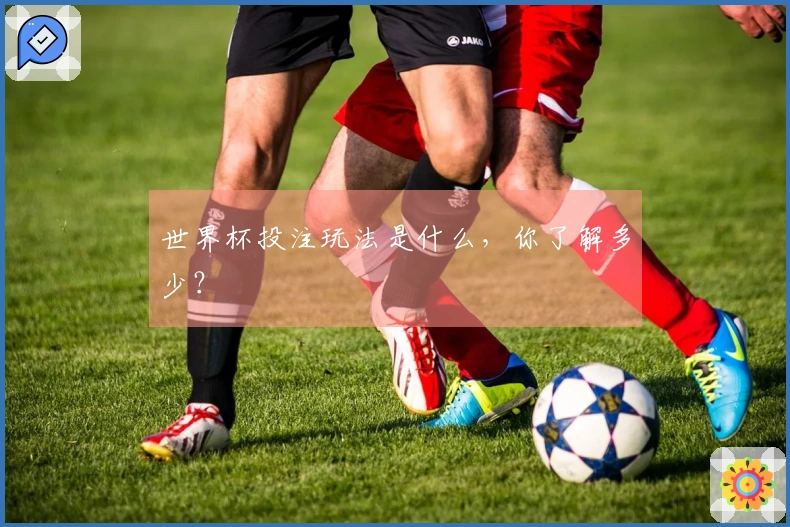 世界杯投注玩法是什么，你了解多少？