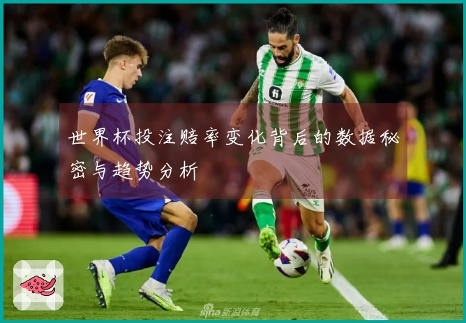 世界杯投注赔率变化背后的数据秘密与趋势分析