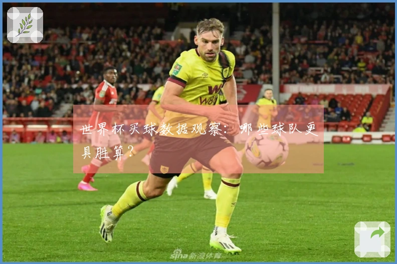 世界杯买球数据观察：哪些球队更具胜算？