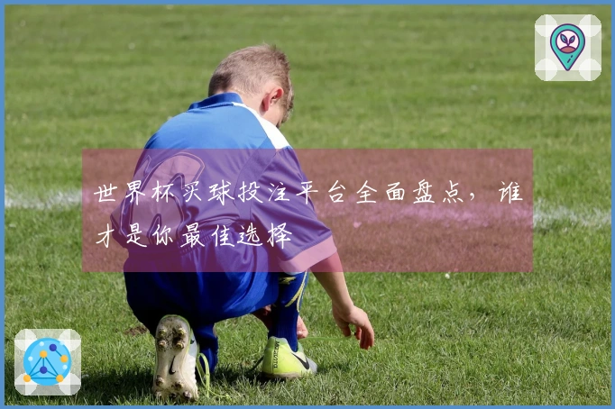 世界杯买球投注平台全面盘点，谁才是你最佳选择