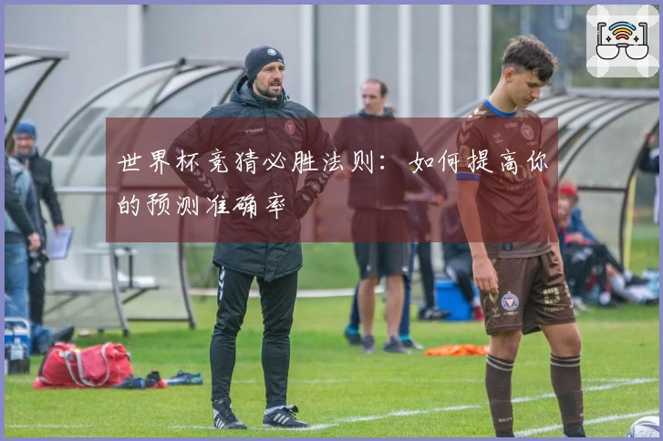 世界杯竞猜必胜法则：如何提高你的预测准确率