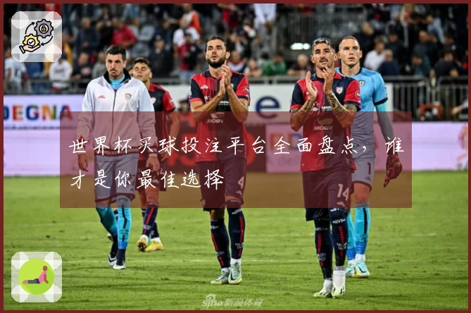 世界杯买球投注平台全面盘点，谁才是你最佳选择